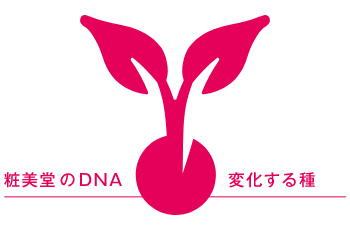 粧美堂のDNA 変化する種