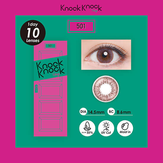 Knock Knock 1day 501