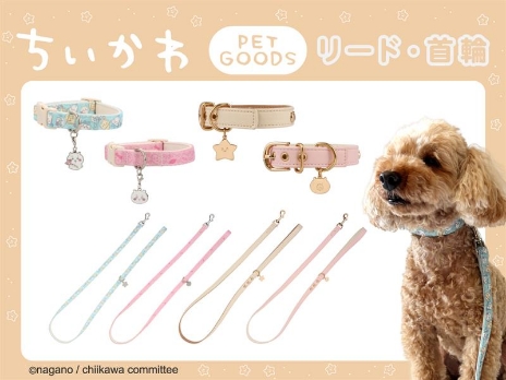 ニュース | 粧美堂株式会社